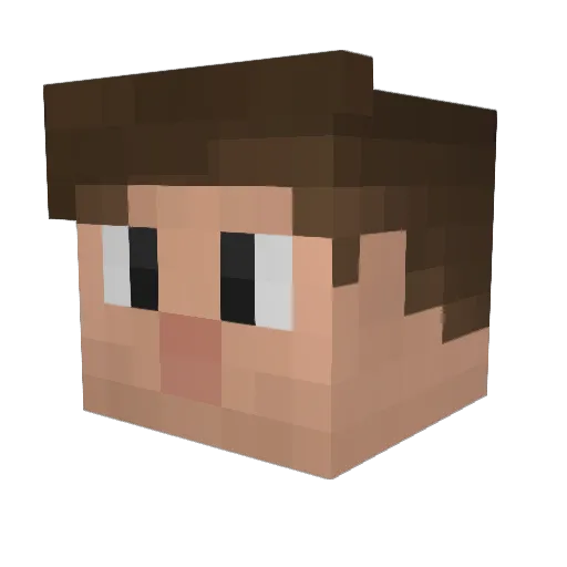 Woukie Minecraft avatar head, 3D render