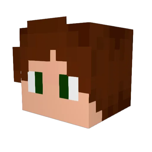 Woukii Minecraft avatar head, 3D render
