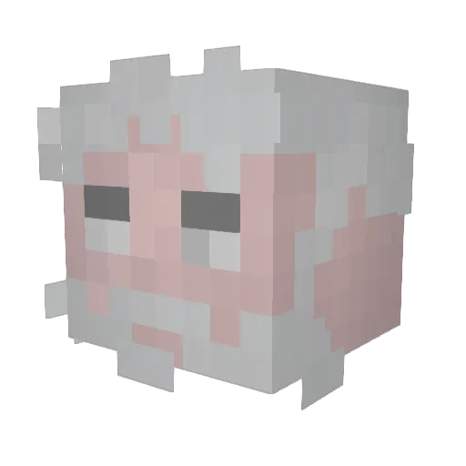WouldNotKnow Minecraft avatar head, 3D render