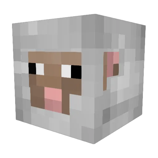 Woulso Minecraft avatar head, 3D render