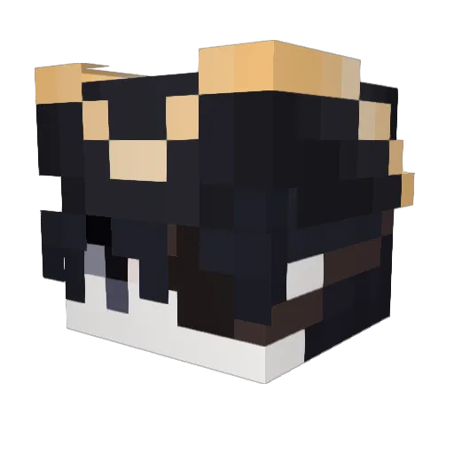 Woundead Minecraft avatar head, 3D render
