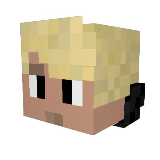 WouterNap Minecraft avatar head, 3D render