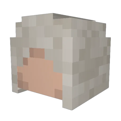 WoutjeNl Minecraft avatar head, 3D render