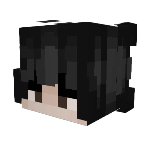 Wouwt Minecraft avatar head, 3D render