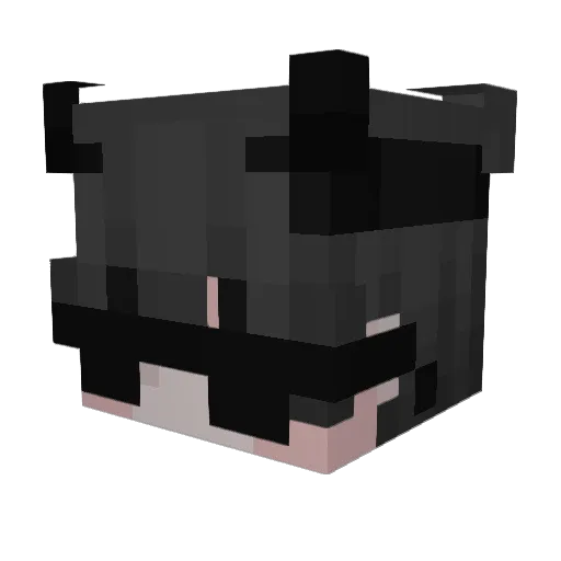 Wouxy Minecraft avatar head, 3D render