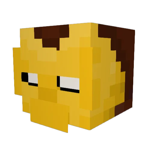 WovenCactus5732 Minecraft avatar head, 3D render