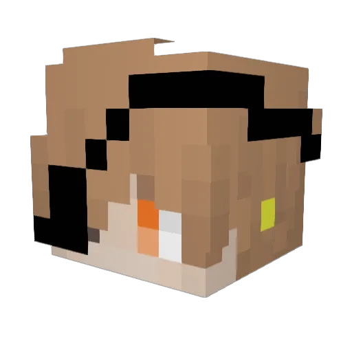 WowAnotherIdiot Minecraft avatar head, 3D render