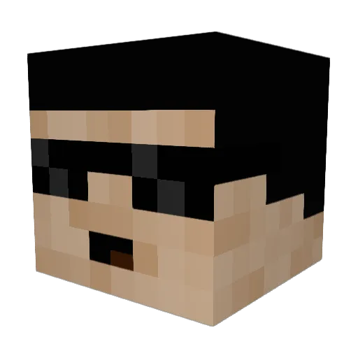 WowPlayer78 Minecraft avatar head, 3D render