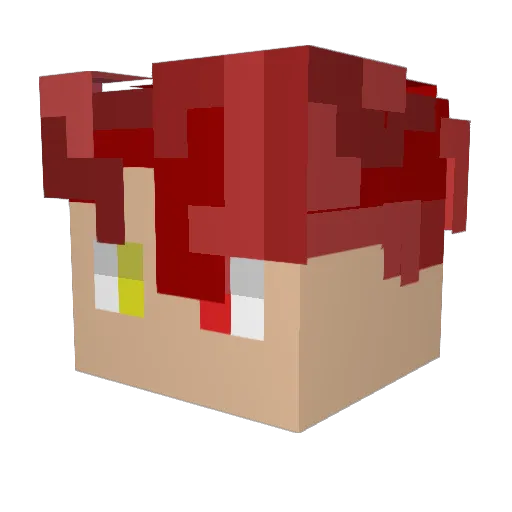 Wowa_Leonardo Minecraft avatar head, 3D render