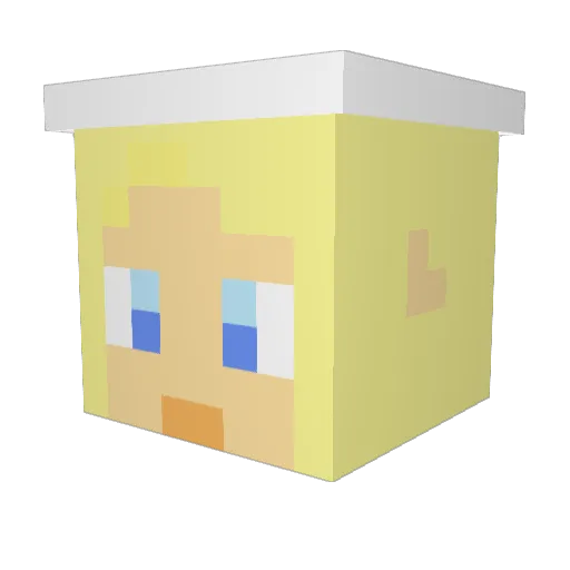 Wowgurl13 Minecraft avatar head, 3D render