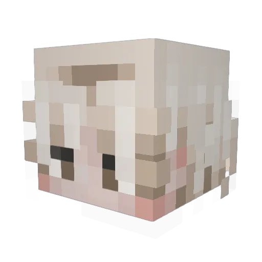 WowoPapaii Minecraft avatar head, 3D render