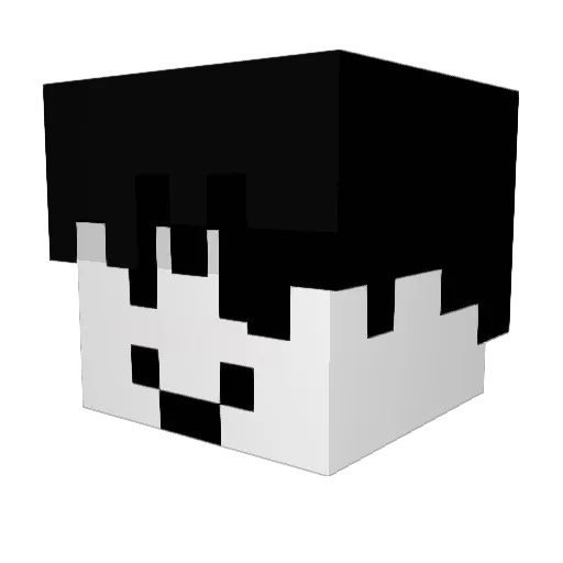 Wowoman17 Minecraft avatar head, 3D render