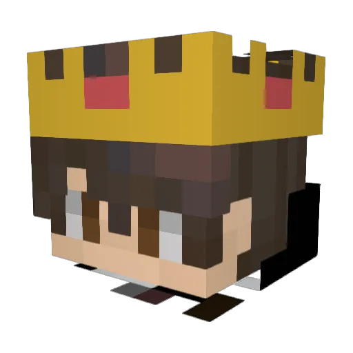 Wowpro1231236 Minecraft avatar head, 3D render