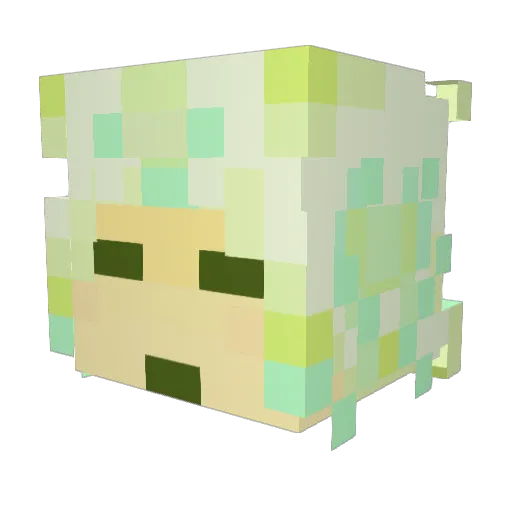 WowzerPidor Minecraft avatar head, 3D render