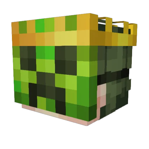 Woxr2010 Minecraft avatar head, 3D render