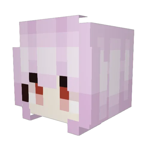 Woxxit Minecraft avatar head, 3D render