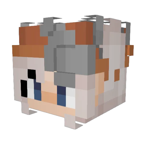 Wozihr Minecraft avatar head, 3D render