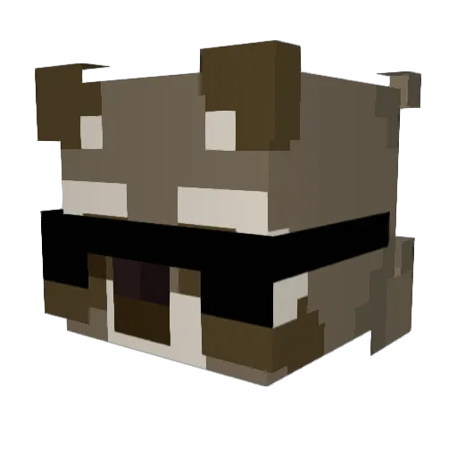 Wpaz123 Minecraft avatar head, 3D render