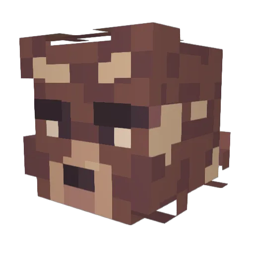 Wqoe Minecraft avatar head, 3D render