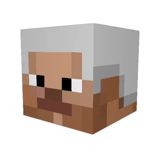 Wr_Bigglesworth Minecraft avatar head, 3D render