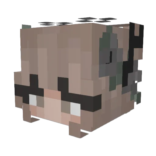 Wraein Minecraft avatar head, 3D render