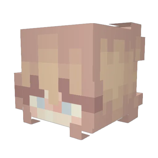 Wraith9961 Minecraft avatar head, 3D render
