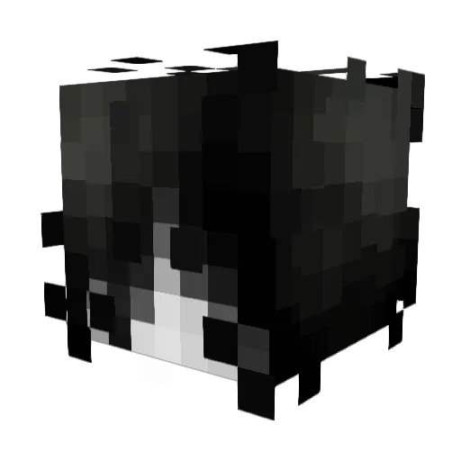 WraithTenebrisss Minecraft avatar head, 3D render