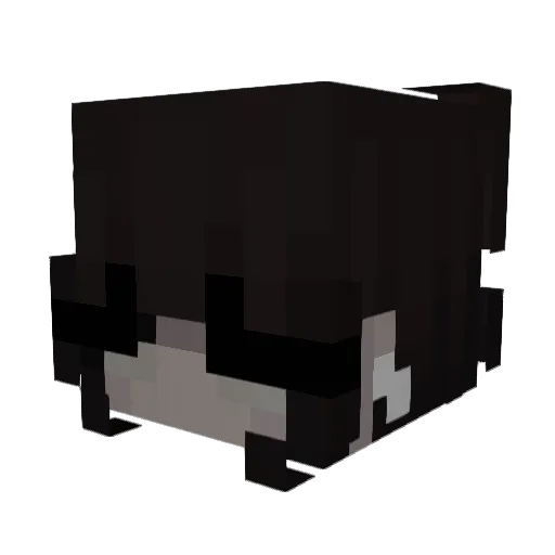 Wraive Minecraft avatar head, 3D render