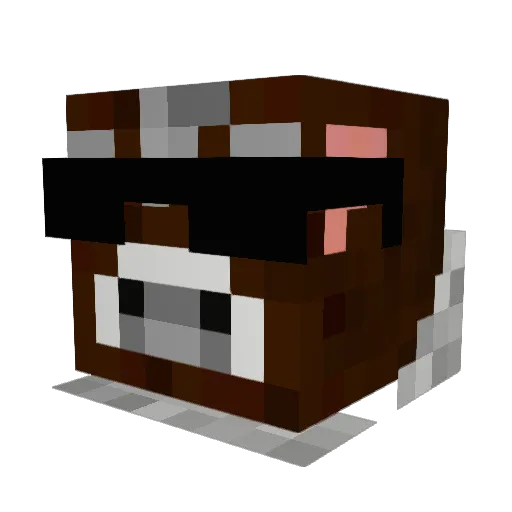 WrappingBasil51 Minecraft avatar head, 3D render