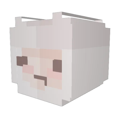 Wrathful309 Minecraft avatar head, 3D render