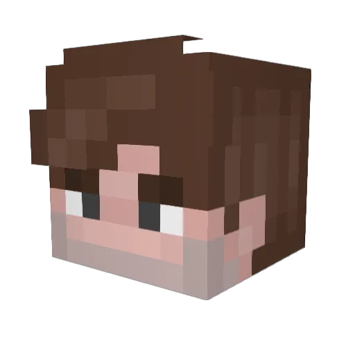 WrathsInsideMe Minecraft avatar head, 3D render