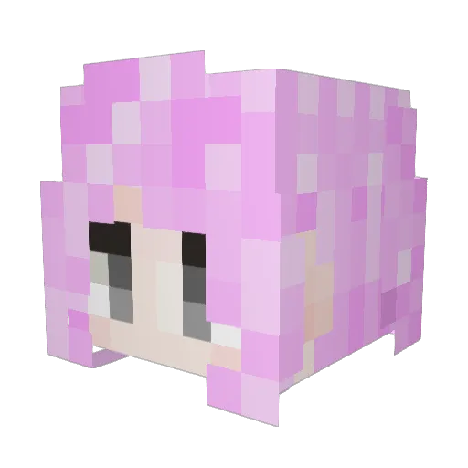 Wray114514 Minecraft avatar head, 3D render