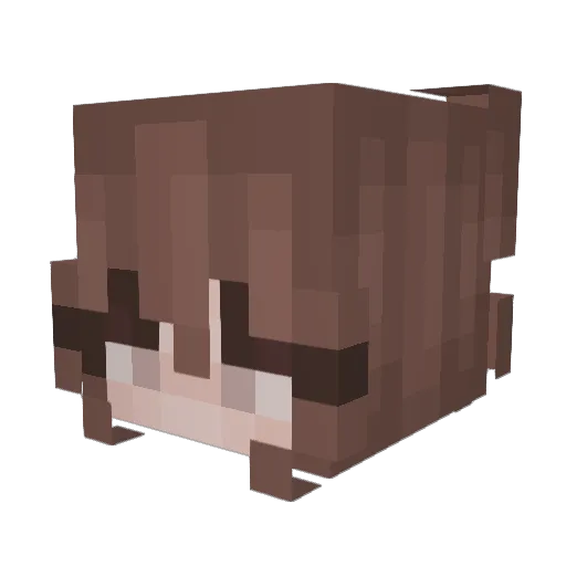 Wrebba Minecraft avatar head, 3D render