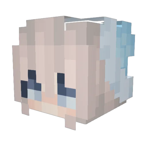 Wreless01 Minecraft avatar head, 3D render