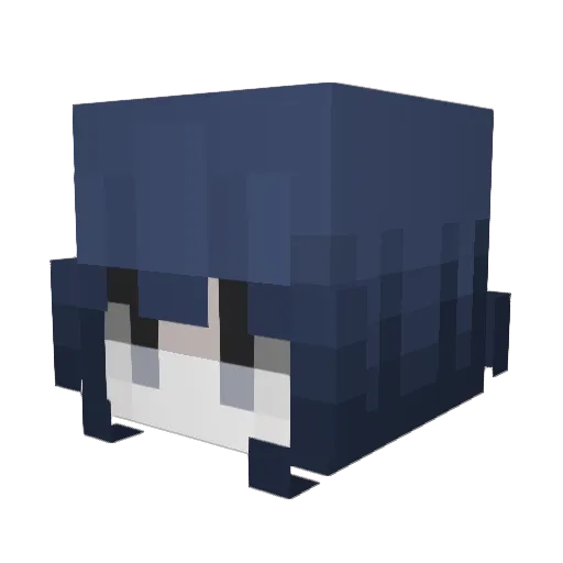 Wren0124 Minecraft avatar head, 3D render