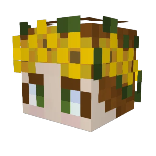 Wren2001 Minecraft avatar head, 3D render