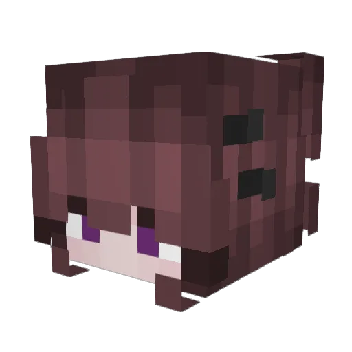 WrenWishes Minecraft avatar head, 3D render