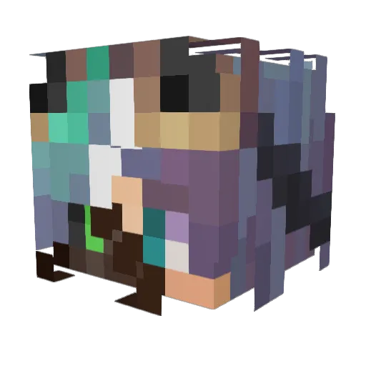 Wren_H17 Minecraft avatar head, 3D render