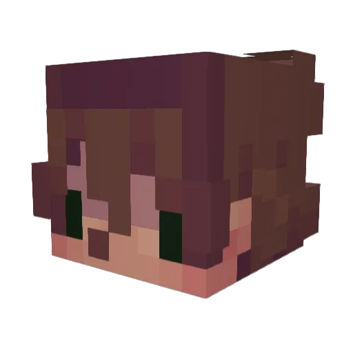 Wren_wood Minecraft avatar head, 3D render