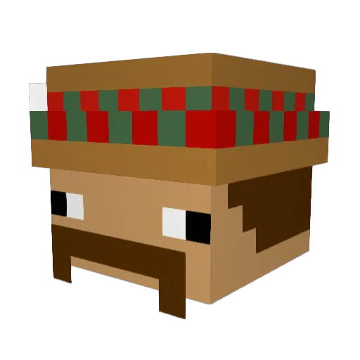 Wrenchbebop Minecraft avatar head, 3D render