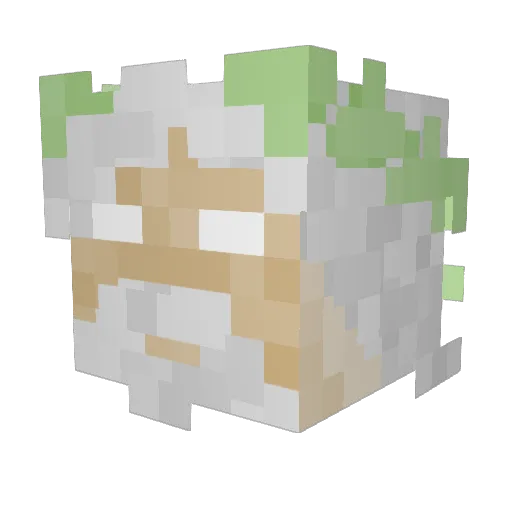 Wrendr Minecraft avatar head, 3D render