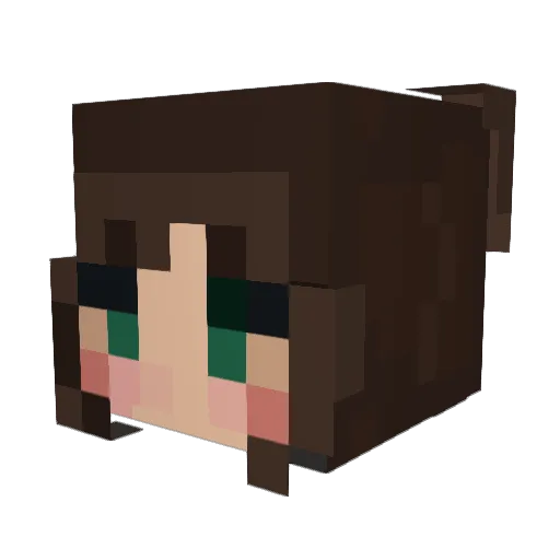 Wrenite Minecraft avatar head, 3D render