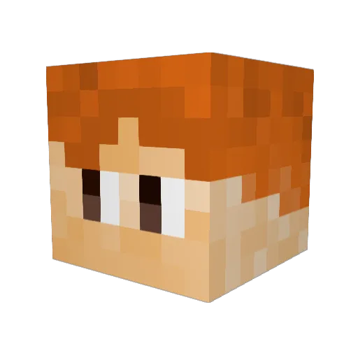 Wrenji Minecraft avatar head, 3D render