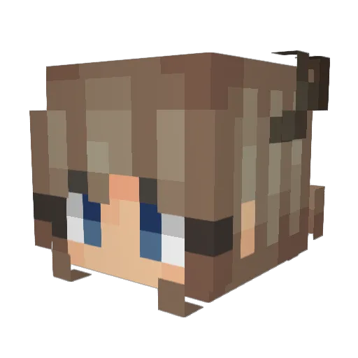 Wrens188 Minecraft avatar head, 3D render