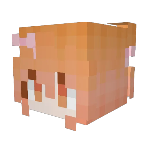 WrensLullaby Minecraft avatar head, 3D render