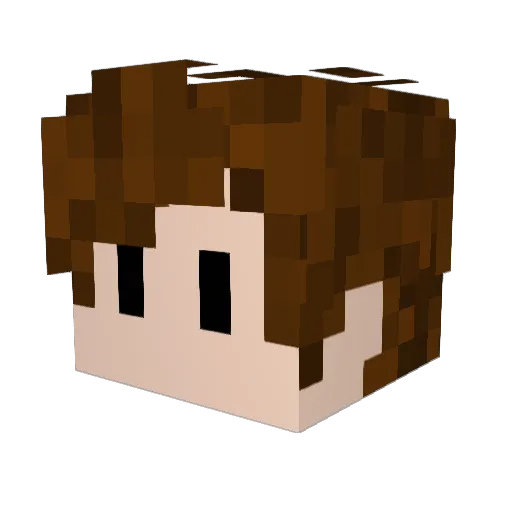 Wridde Minecraft avatar head, 3D render