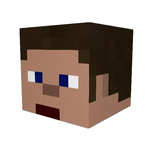 Wright_Wing Minecraft avatar head, 3D render