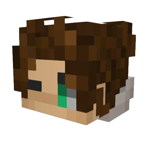 Wrigster6463 Minecraft avatar head, 3D render