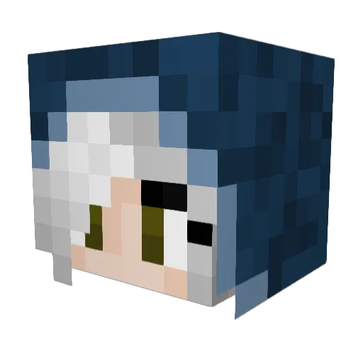 Wrinde Minecraft avatar head, 3D render
