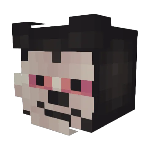 WringWrang Minecraft avatar head, 3D render